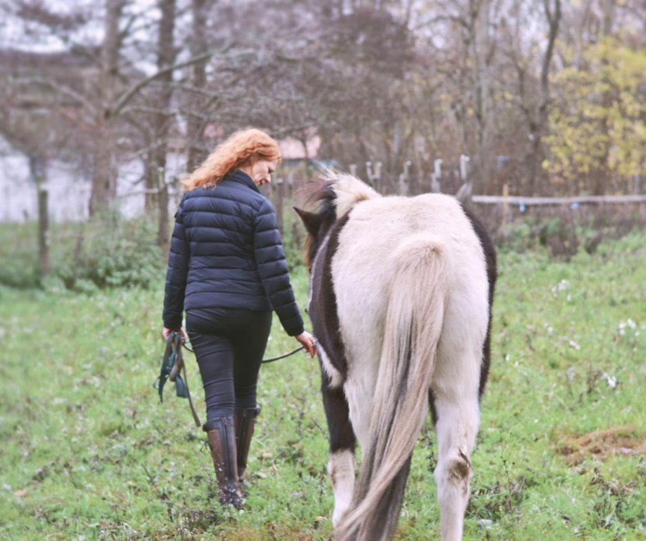Rikke går med Silja. Hesteassisteret terapi i Randers.